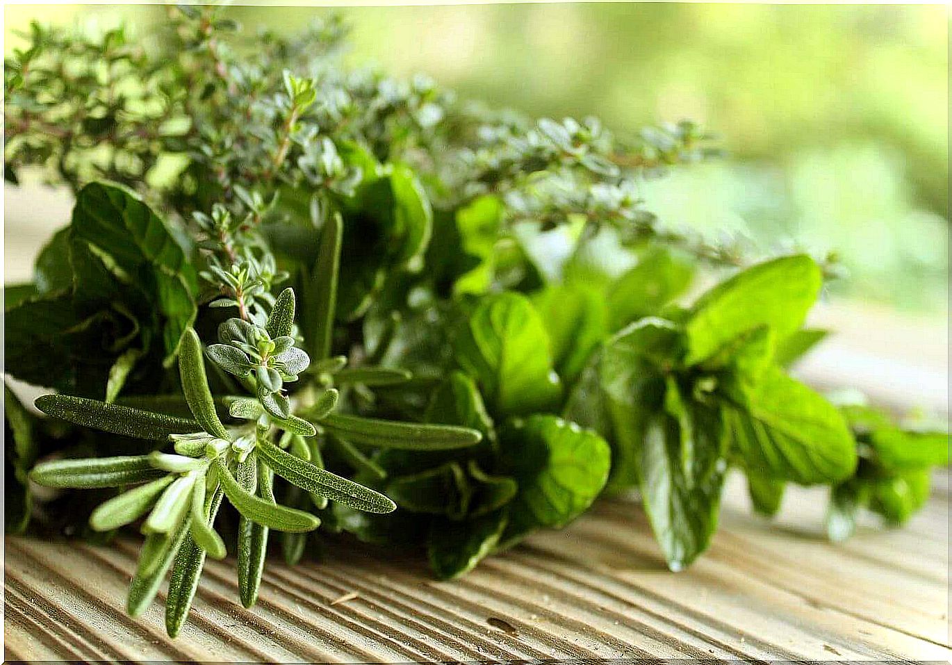 Natural herbs to fight bad breath