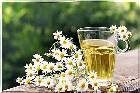 Treat a sensitive scalp with chamomile