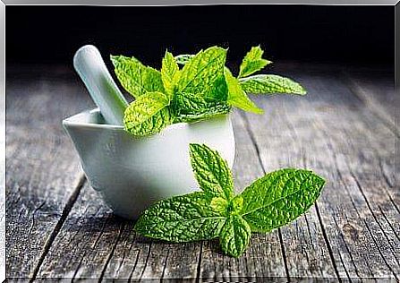 Mint for throat diseases