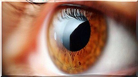 5 things your eyesight might be telling you about your body