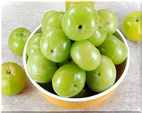 Alternatives to omeprazole amla fruit