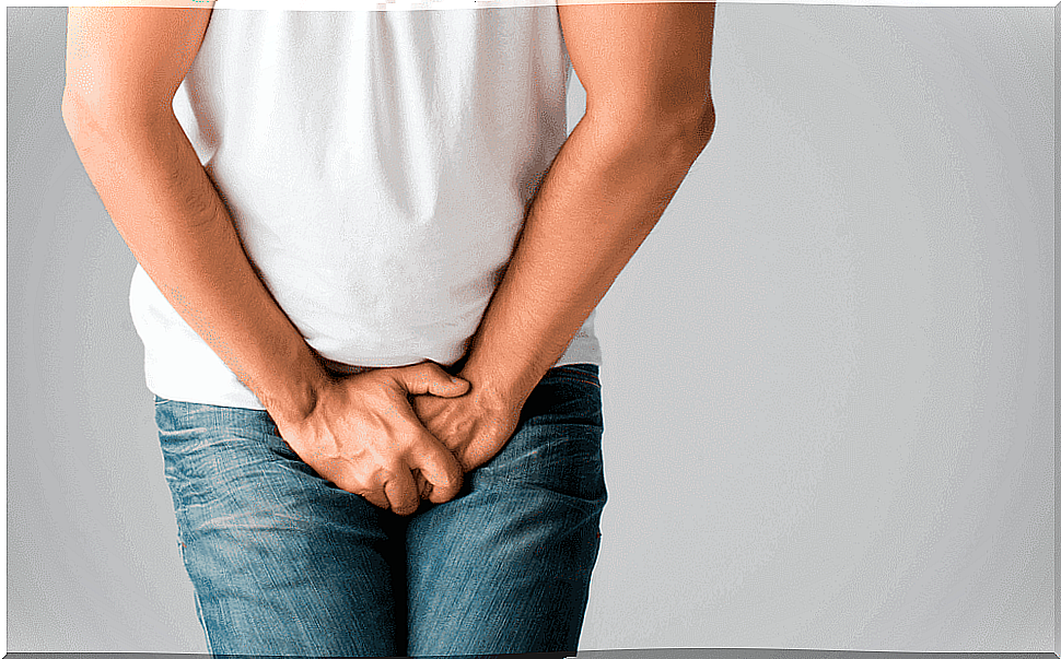 Holding your pee can damage the kidneys