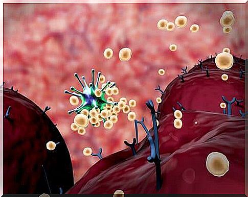 An overview of the immune response