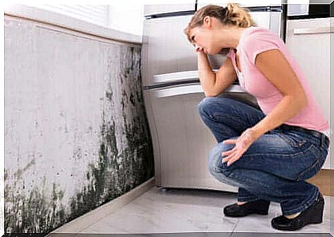 Can mold in the home lead to health problems?