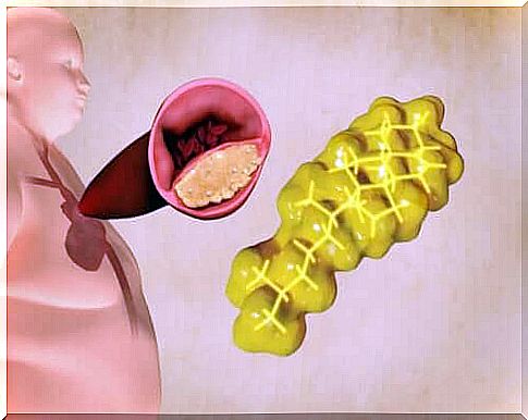 Triglycerides play an important role in the body's energy reserve