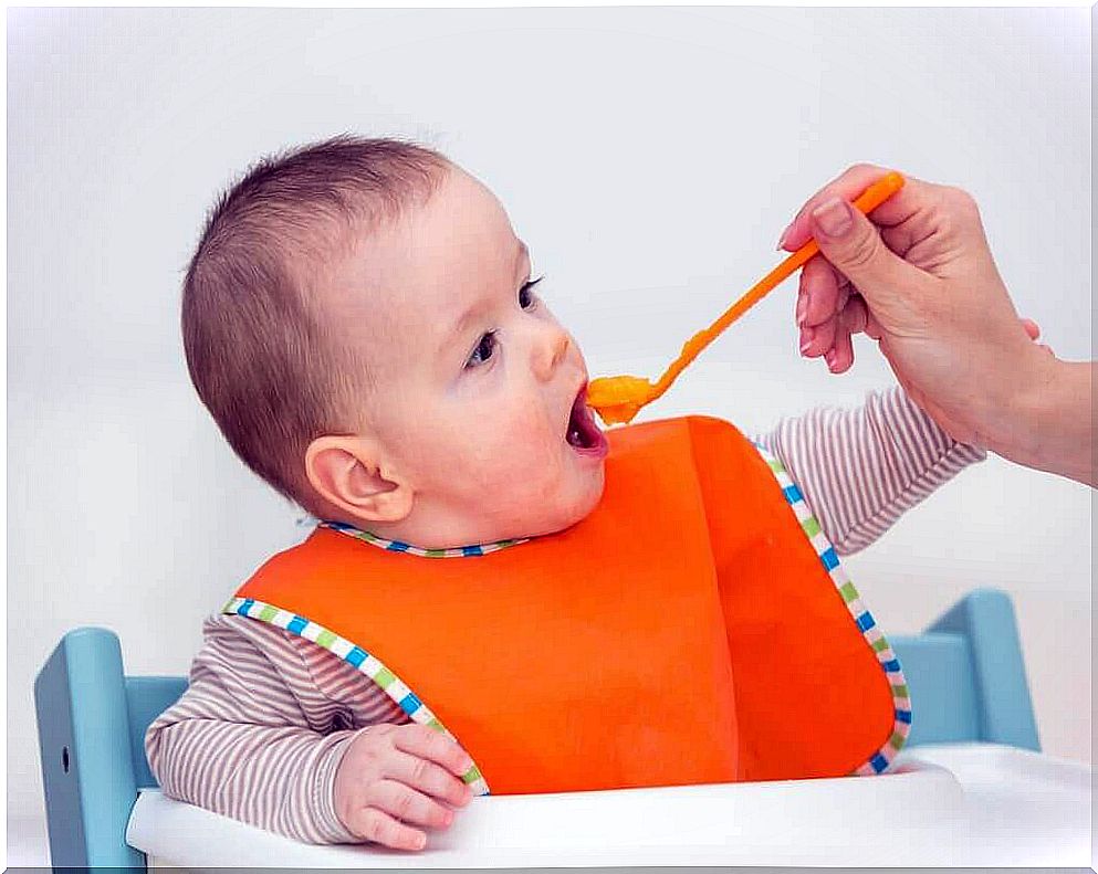 Discover the benefits of fruit puree for your baby