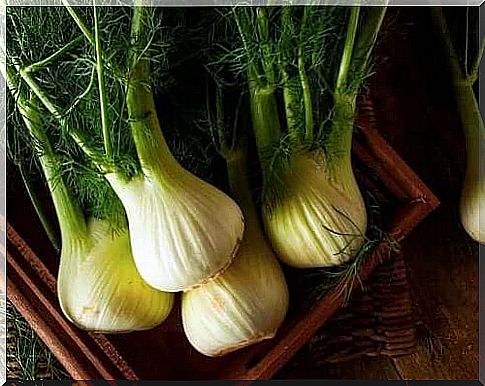 Fennel bulbs in a wooden box