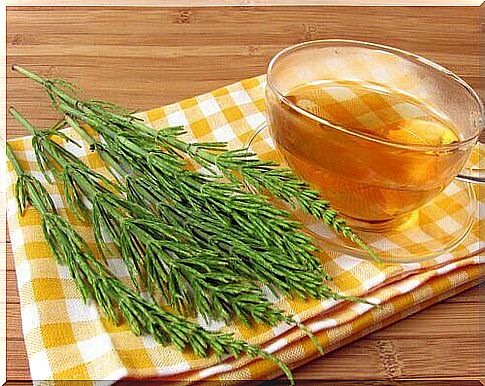 Lower uric acid levels with horsetail infusion