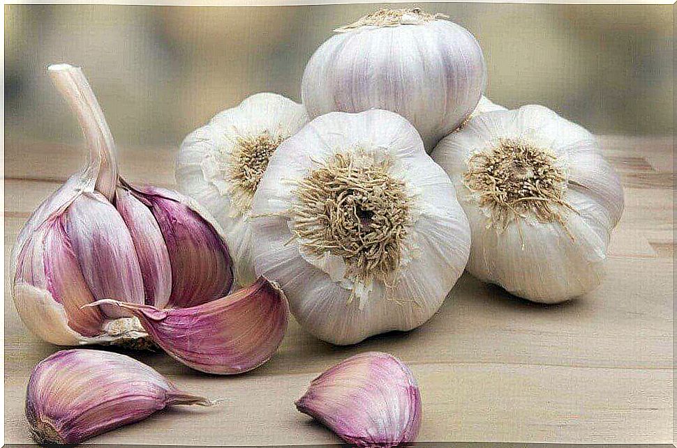 Garlic has antibacterial properties