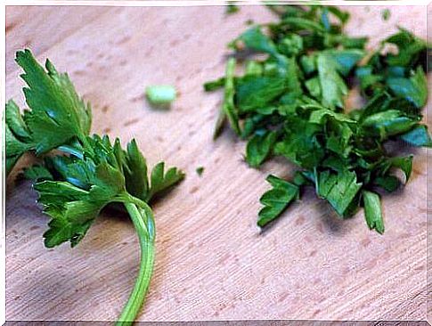 Parsley on a cutting blade