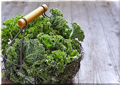 Improving Your Kidney Health With Kale