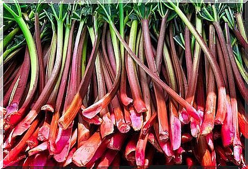 Rhubarb