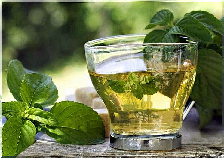 Lose Weight With Green Tea And Mint