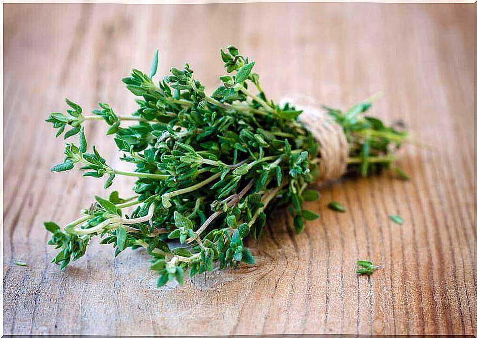 bunch of thyme