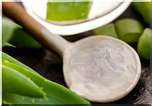 Mask against varicose veins with aloe vera and apple cider vinegar