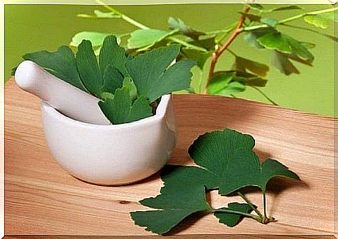 Use gingko biloba for chronic fatigue