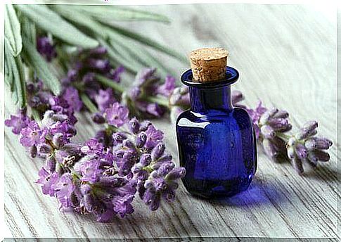 Lavender oil is one of the essential oils for your beauty