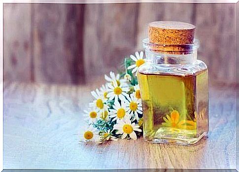 Chamomile essential oil