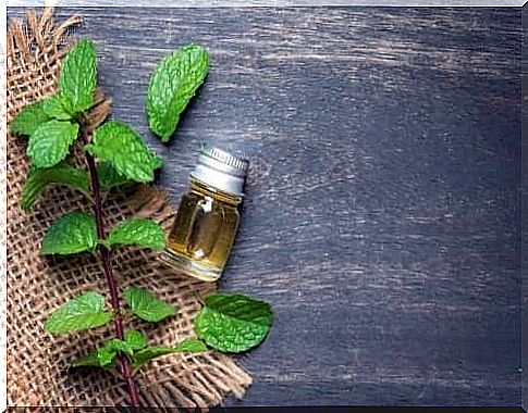 The benefits of mint oil for your body