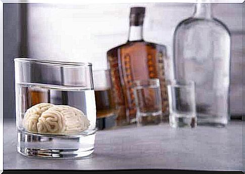 Brain and alcohol