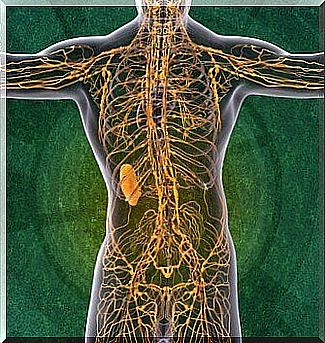 The lymphatic system: four interesting facts you want to know