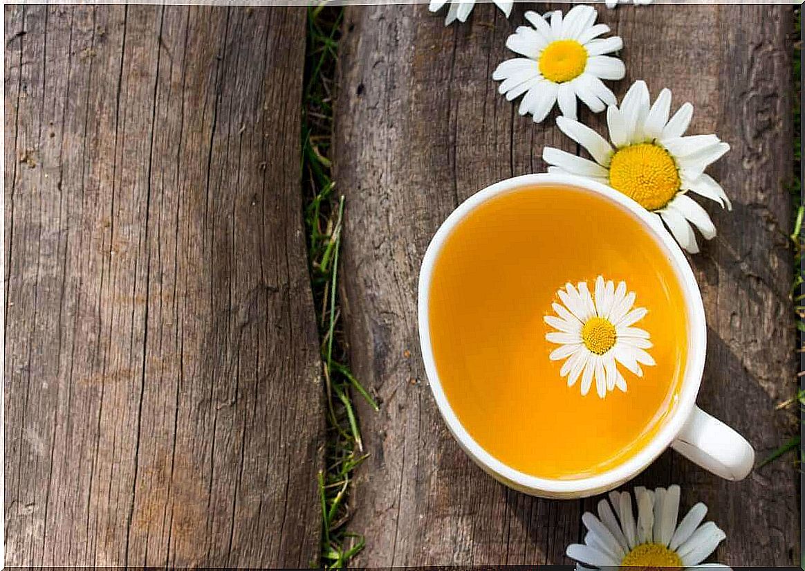 Tea with chamomile flowers