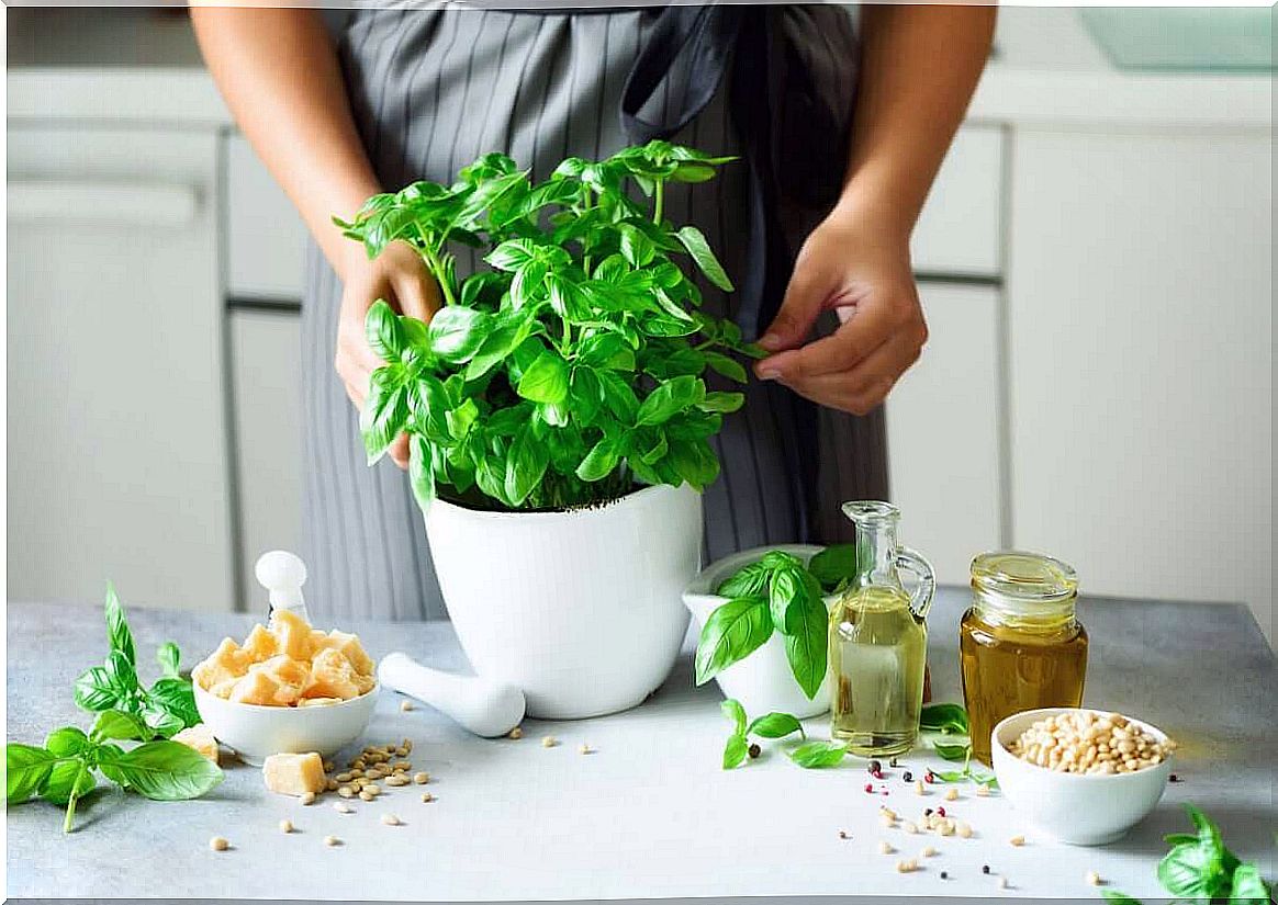 Fresh basil