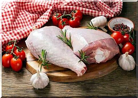 What are the differences between turkey and chicken meat?