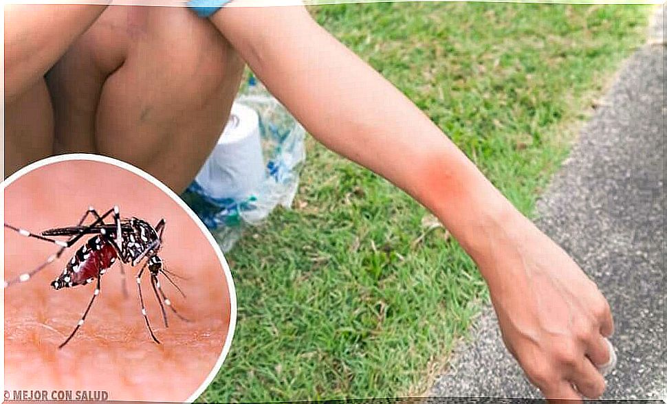 What happens when you get a mosquito bite?